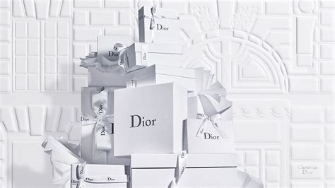 christian dior distributor in panamma|dior official website.